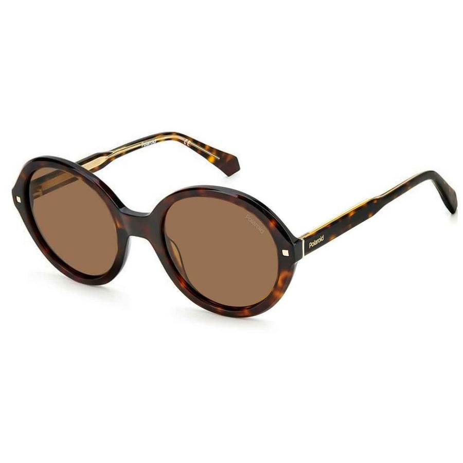 Brown Plastic Sunglasses