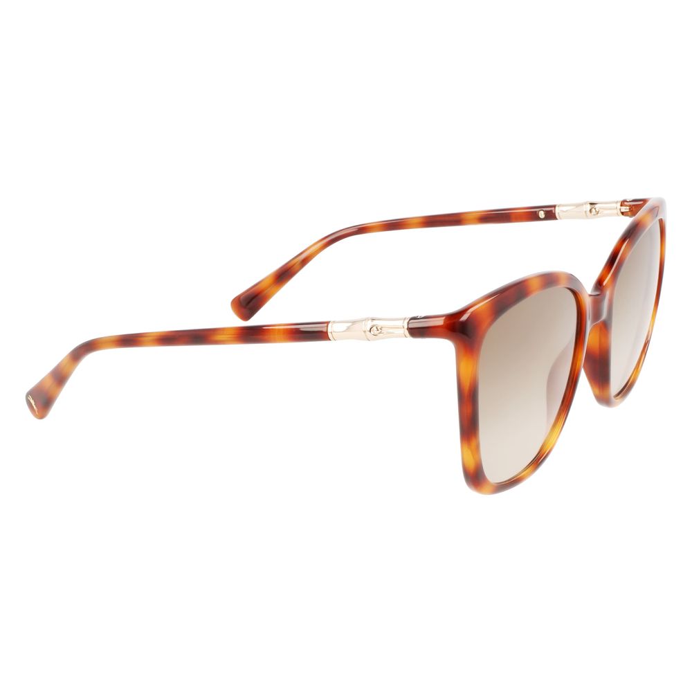 Brown Injected Sunglasses