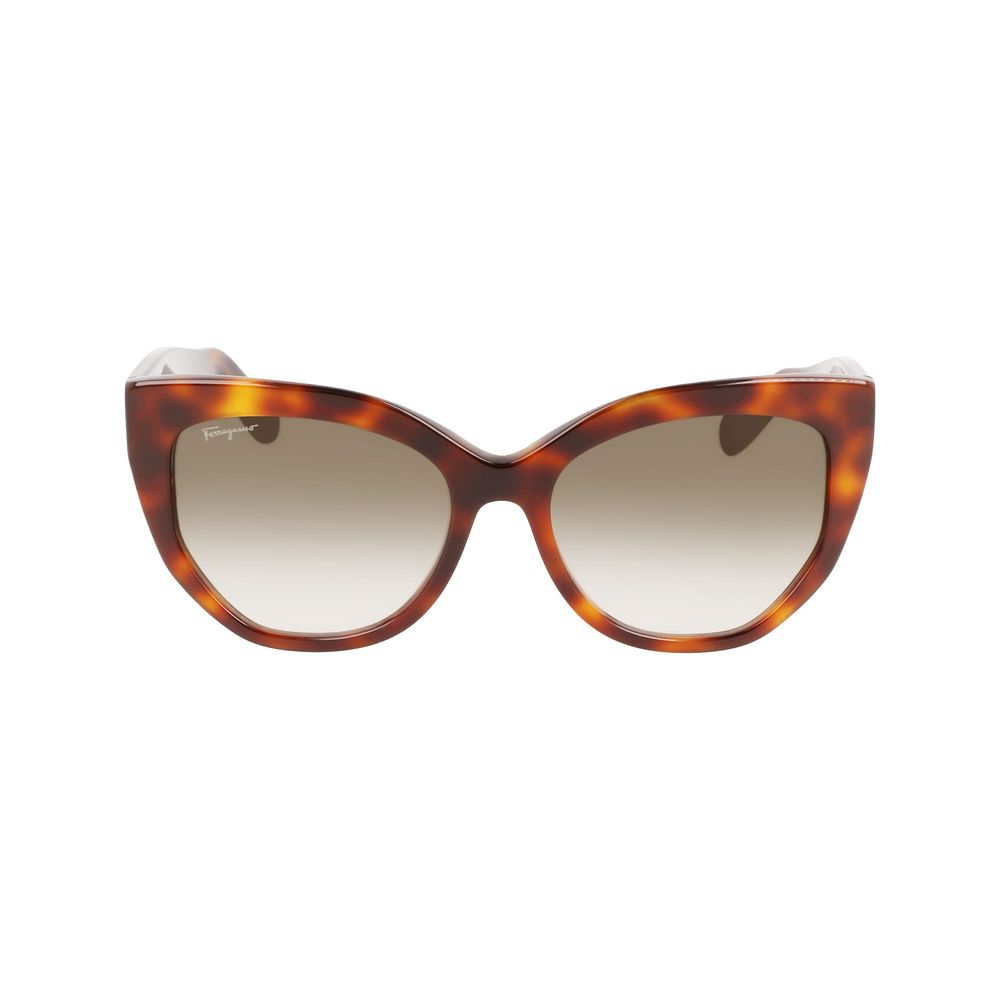 Brown Acetate Sunglasses